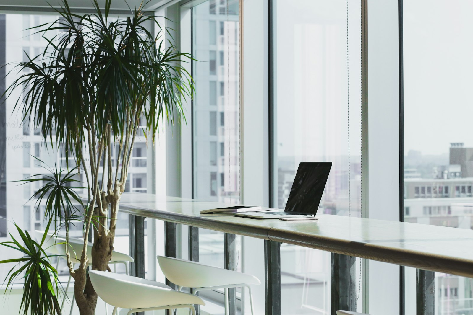 Coworking lounge with a city view and private call rooms